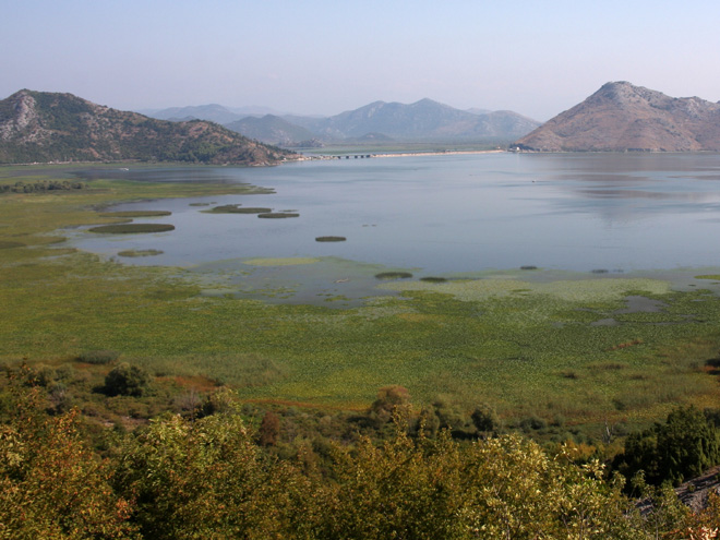 Skadarské jezero je největší na Balkánském poloostrově