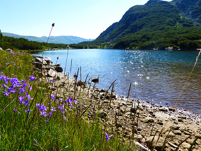 Smradlavé jezero