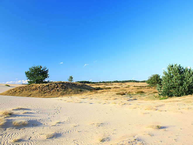 Národní park Höge Veluwe