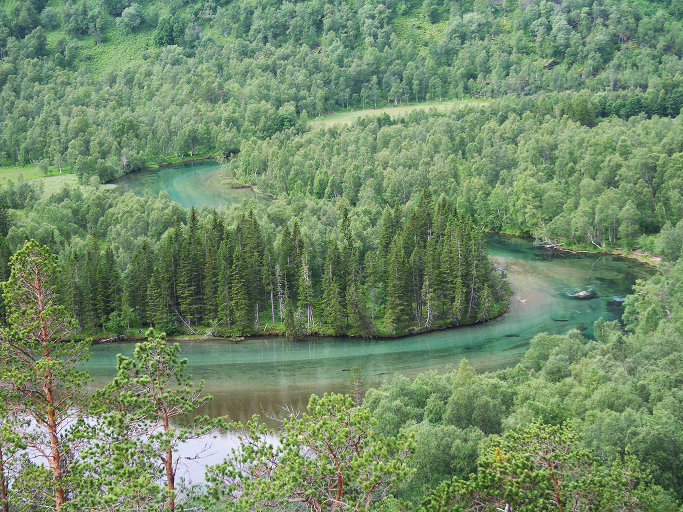 Meandry řeky Nordfjordelva v NP Rago