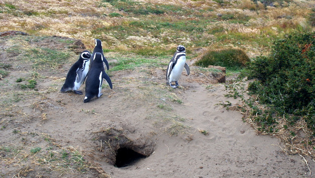 Přírodní rezervace Seno Otway