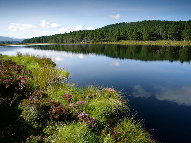 Jezero Loch Garten obklopené pozůstatkem Kaledonského pralesa