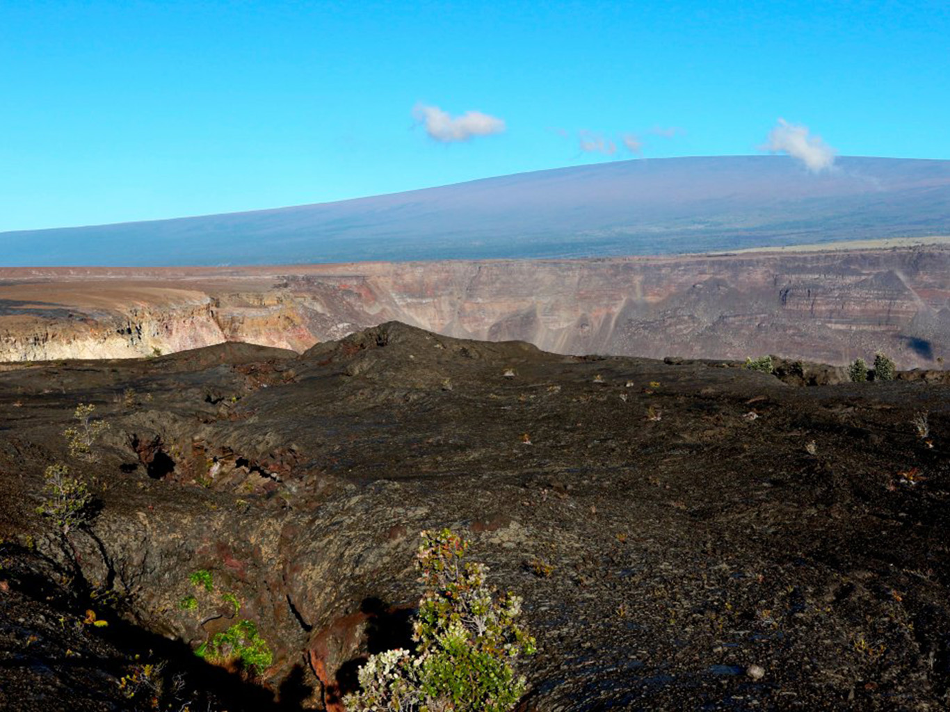 Příkladem štítové sopky je havajská Mauna Loa