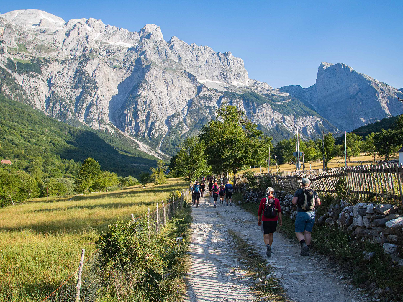 Cesta mezi pastvinami v okolí vesničky Theth