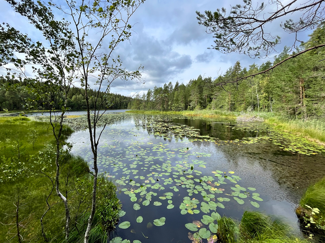 Národní park Nuuksio tvoří více než 50 jezírek