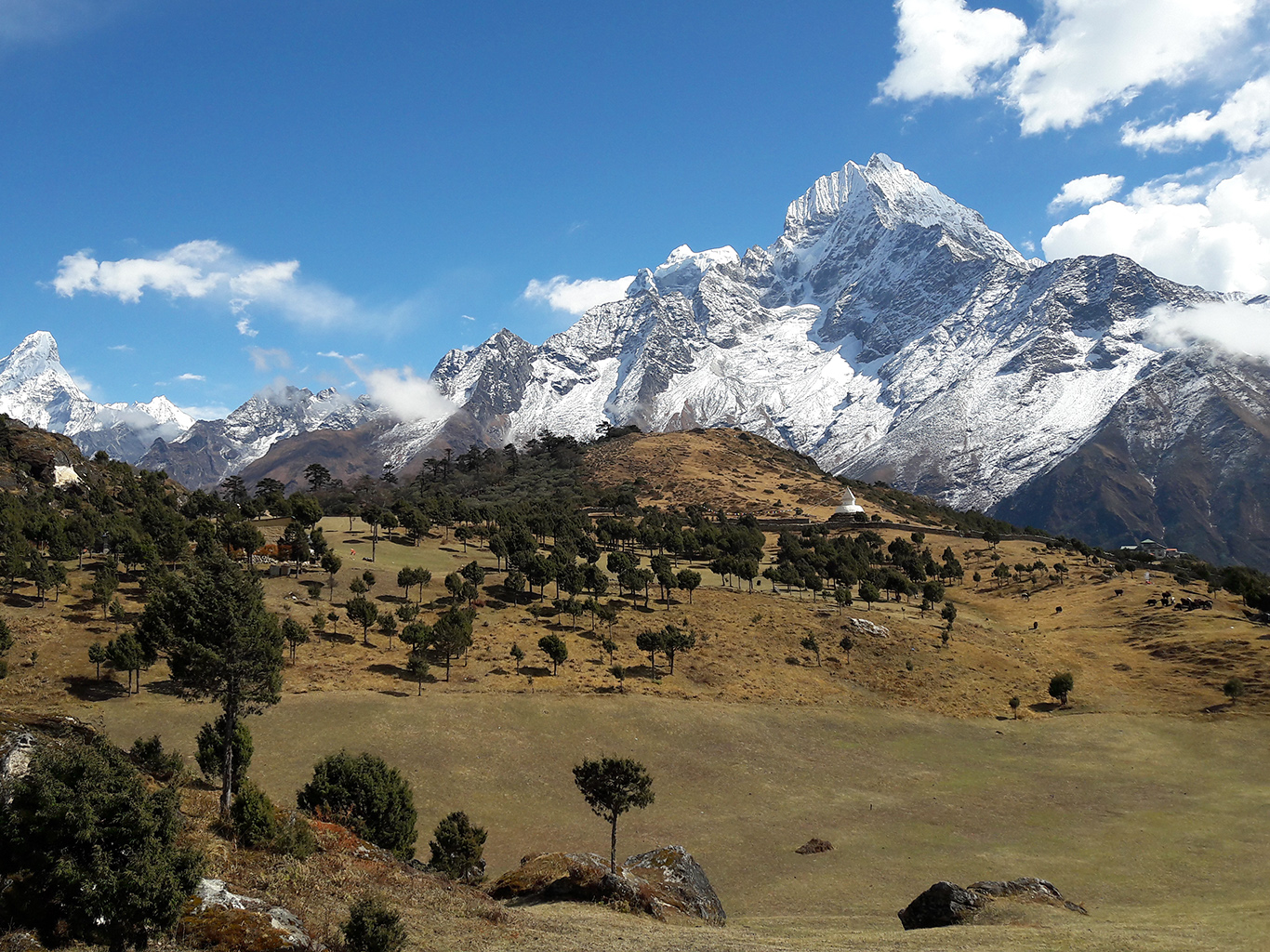 Vyhlídková planina nad Namche Bazaarem s šestitisícovkou Thamserku