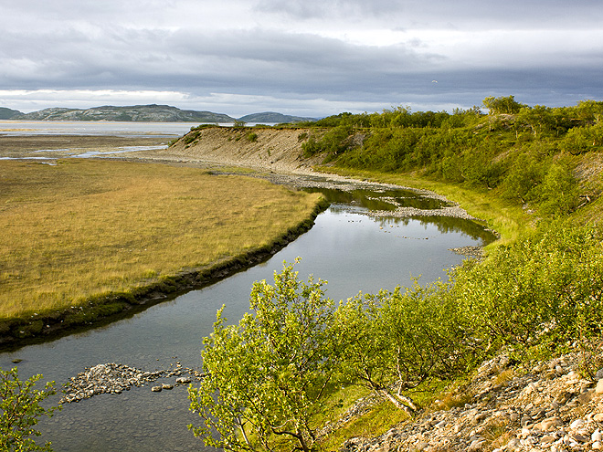 Náhorní plošinu Finnmarksvidda tvoří lesotundra s řídkými březovými lesy