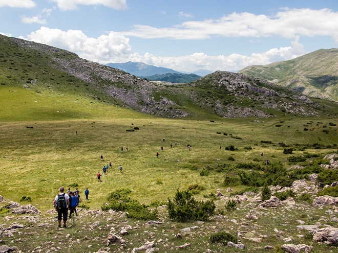 Travnatá náhorní planina v národním parku Mavrovo