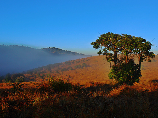 Národní park Horton Plains je zvláštní mystickou krajinou