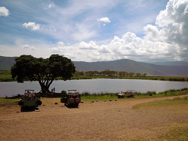 Jezírko obývané hrochy v kráteru Ngorongoro