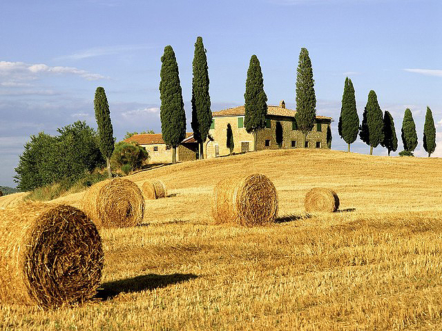 Malebné toskánské údolí Val d’Orcia dotváří řady cypřišů  