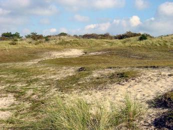 Písečné duny v oblasti De Höge Veluwe