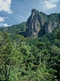 Nejvzácnějším biotopem Madagaskaru je vřesovcový buš a vysokohorské louky