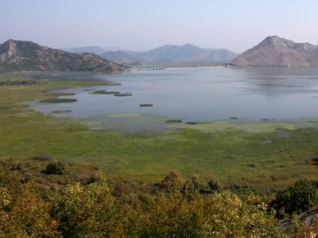 Skadarské jezero je největší na Balkánském poloostrově