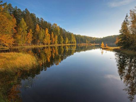 Na podzim hraje NP Nuuksio všemi barvami