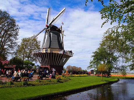 Větrný mlýn v květinové zahradě Keukenhof