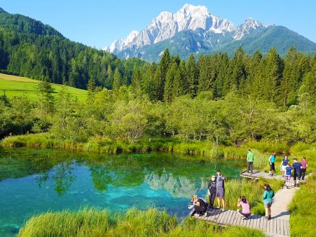 Přírodní rezervace Zelenci leží u Kranjské Gory