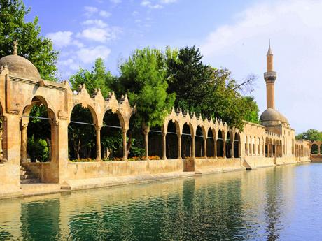 Şanli Urfa - posvátné jezero, v němž žijí kapři