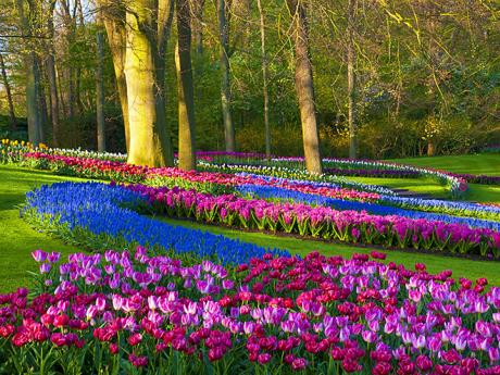 Květinový park Keukenhof je největší v Nizozemsku i celé Evropě