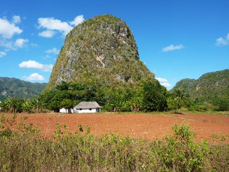 Mogota, jedna z mnoha v NP Viñales, je vápencový útvar vzniklý erozí