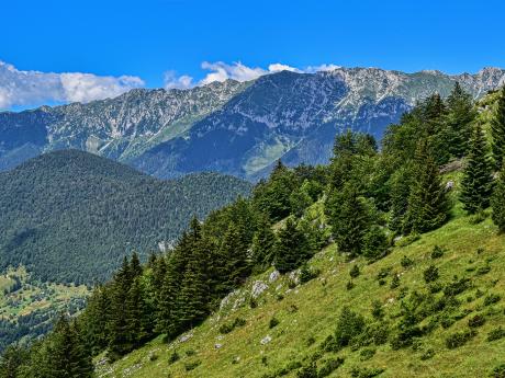 Túra z vesnice Măgura končíčí u hradu Bran vede zalesněnou horskou krajinou