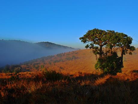 Národní park Horton Plains je zvláštní mystickou krajinou