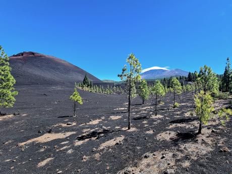 Túra přes černý sopečný popel v oblasti Montaña Negra 